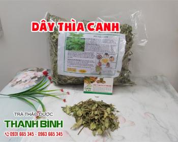 Mua bán dây thìa canh tại huyện phú xuyên giúp điều trị huyết áp cao