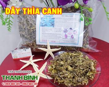 Tác dụng của dây thìa canh trong điều trị rắn cắn hiệu quả nhất
