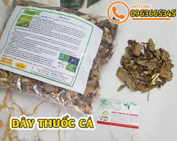 Mua dây thuốc cá ở đâu tại tphcm ???