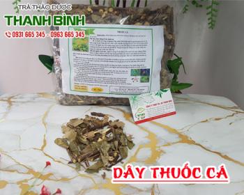 Mua bán dây thuốc cá tại quận 10 có tác dụng giúp giải độc cho cơ thể