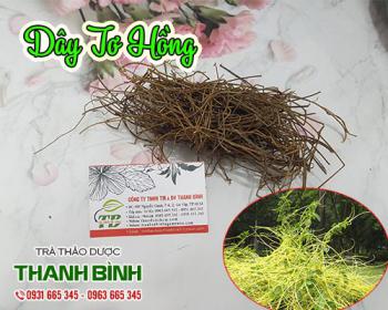 Mua dây tơ hồng ở đâu tại tphcm ???