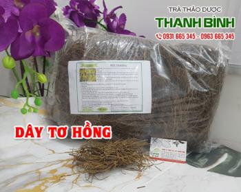 Mua bán dây tơ hồng tại sơn tây có công dụng chữa bàng quang chứa sỏi