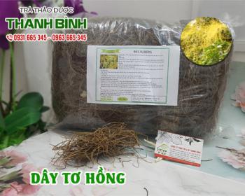 Mua bán dây tơ hồng tại quận hoàng mai hỗ trợ điều trị bệnh bạch đới ở nữ
