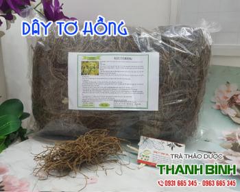 địa điểm bán dây tơ hồng trị kiết lỵ, chảy máu cam uy tín chất lượng nhất