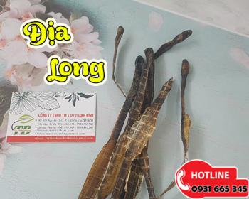 địa long giúp hạ sốt, điều hòa huyết áp và có tác dụng lợi tiểu hiệu quả