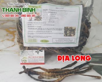Mua bán địa long tại quận ba đình có tác dụng điều trị bệnh động kinh