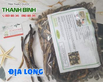 Mua bán địa long tại huyện phú xuyên hỗ trợ trị chứng liệt nửa người