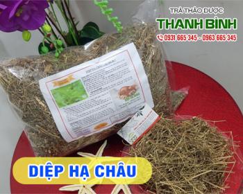 Mua bán diệp hạ châu tại quận hà đông trị chứng viêm da và giang mai