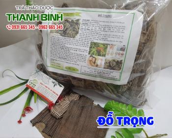 Mua bán đỗ trọng tại huyện thanh oai có tác dụng trị chứng máu não