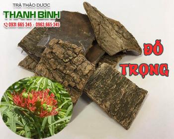 Mua bán đỗ trọng tại tp hcm uy tín chất lượng tốt nhất