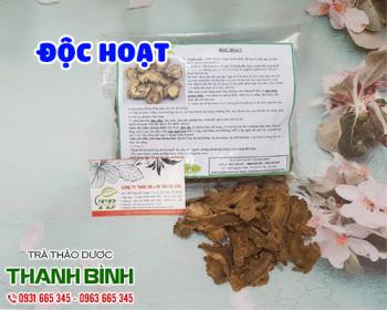 Mua bán độc hoạt ở huyện hóc môn giúp giảm đau nhức ở người già rất tốt