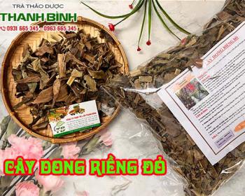 Cách sử dụng dong riềng đỏ trong điều trị bệnh động mạch 