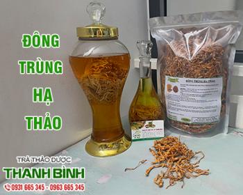 Mua bán đông trùng hạ thảo tại huyện gia lâm có tác dụng bảo vệ sức khỏe