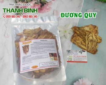Mua bán đương quy tại huyện ba vì giảm đau nhức xương khớp do té ngã