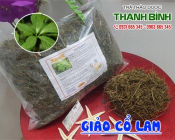 Mua bán giảo cổ lam tại huyện phú xuyên ổn định lượng đường trong máu