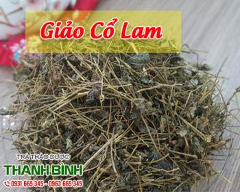 Mua bán giảo cổ lam ở quận bình thạnh tăng cường miễn dịch cho cơ thể