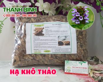 Mua bán hạ khô thảo ở huyện nhà bè giúp điều trị viêm hạch, viêm tuyến vú