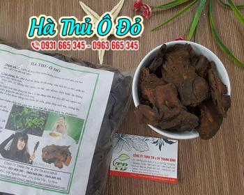 Hà thủ ô đỏ - vị thuốc giúp phục hồi cơ thể và điều hòa huyết áp