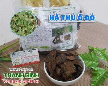 Mua bán hà thủ ô đỏ tại huyện ứng hòa giúp giảm căng thẳng và mệt mỏi