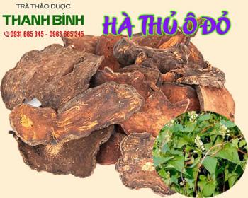 Mua bán hà thủ ô đỏ tại quận 7 phục hồi cơ thể và làm mạnh gân cốt