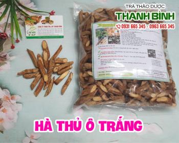 Mua bán hà thủ ô trắng ở quận phú nhuận giúp điều trị ho gà và sốt rét