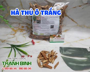 Mua bán hà thủ ô trắng ở quận thủ đức giúp điều trị đau nhức chân tay