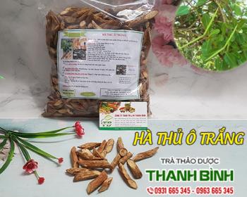 Mua bán hà thủ ô trắng tại cà mau có tác dụng giảm đau nhức xương khớp