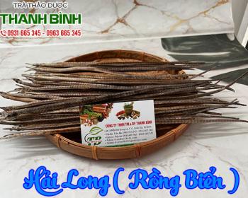 Hải long [rồng biển] hình ảnh công dụng mua ở đâu chất lượng???
