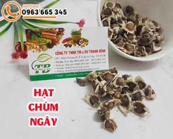Hạt chùm ngây [tác dụng cách dùng] địa chỉ mua bán chất lượng ở đâu?