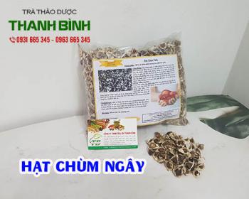 Mua hạt chùm ngây ở đâu tại tphcm?