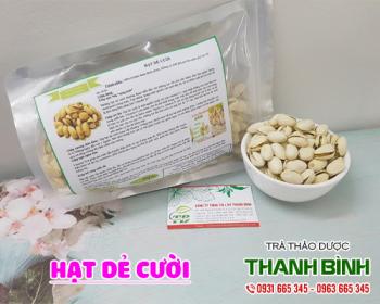 Mua bán hạt dẻ cười tại quận thanh xuân cung cấp lượng protein dồi dào