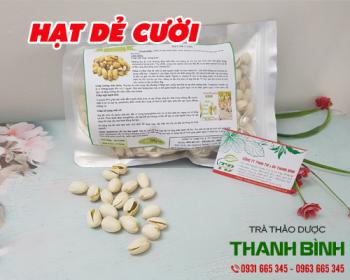 Cách sử dụng hạt dẻ cười trong điều trị bệnh tim mạch hiệu quả nhất