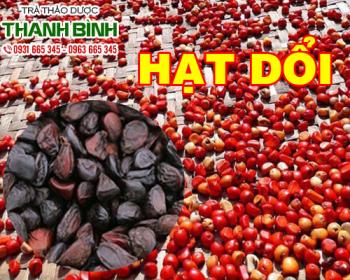 Mua bán hạt dổi tại quận 9 hỗ trợ tăng cường sức khỏe xương khớp