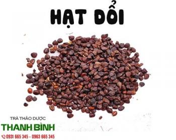 Hạt dổi [hình ảnh công dụng] mua ở đâu chất lượng?