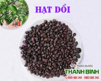 Mua bán hạt dổi tại huyện thanh trì có tác dụng điều trị bệnh tiêu hóa