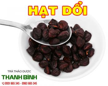 Tác dụng của hạt dổi trong điều trị thóa hóa xương khớp hiệu quả nhất