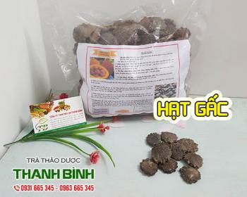 Hạt gấc [công dụng cách sử dụng] địa chỉ mua bán giá tốt ở đâu?