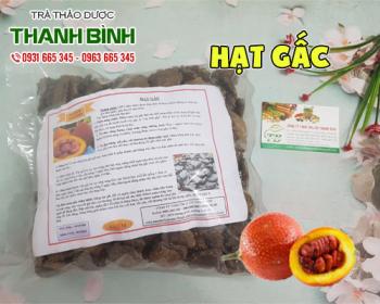 Mua bán hạt gấc ở huyện cần giờ giúp điều trị bệnh răng miệng như lở miệng