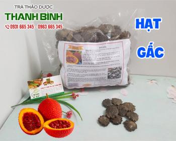 Mua bán hạt gấc ở quận bình thạnh giúp điều trị nhiệt miệng và đau răng