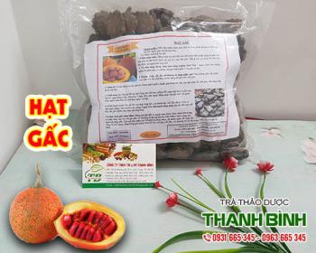Mua hạt gấc ở đâu tại tphcm?