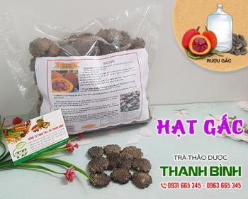 Mua bán hạt gấc tại huyện thanh trì giúp điều trị vết thương bầm tím