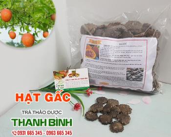 Mua bán hạt gấc tại cà mau giúp điều trị các vết thương bầm tím rất tốt
