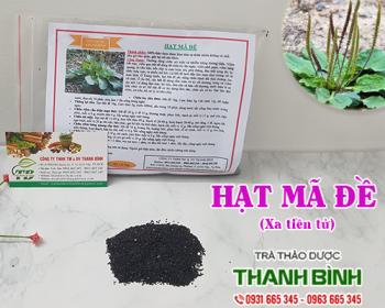 Mua bán hạt mã đề tại huyện thanh trì giúp sáng mắt an toàn nhất