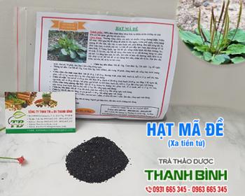 Mua bán hạt mã đề tại dak nông giúp điều trị đau mắt đỏ uy tín nhất