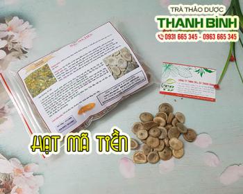 Mua hạt mã tiền ở đâu tại tphcm?