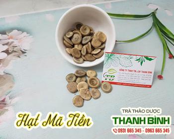 Hạt mã tiền [công dụng cách sử dụng] mua ở đâu giá rẻ?