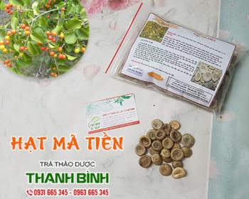 Mua bán hạt mã tiền tại quận hà đông có tác dụng giảm tê bì tay chân