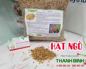 Mua bán hạt ngò tại quận 5 có tác dụng giúp phát triển trí não cho trẻ