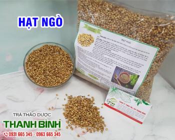 Mua bán hạt ngò tại quận 3 giúp hỗ trợ giảm đau do viêm lợi