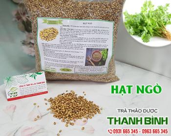 Mua bán hạt ngò tại khánh hòa có tác dụng điều trị hôi miệng rất tốt